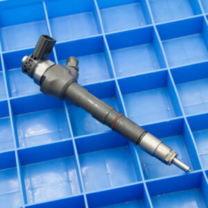 0445110081 Diesel Common rail Injector